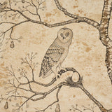 Schumacher Lattesa Nella Notte Parchment Wallpaper