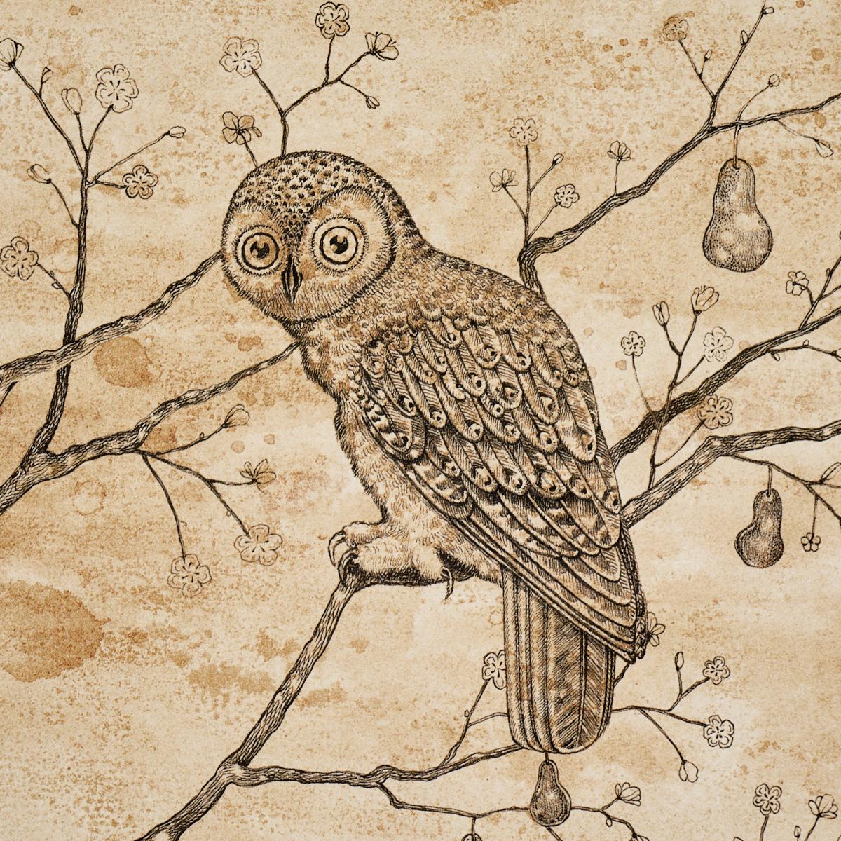 Schumacher Lattesa Nella Notte Parchment Wallpaper