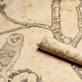 Schumacher Lattesa Nella Notte Parchment Wallpaper