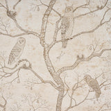 Schumacher Lattesa Nella Notte Ivory Wallpaper