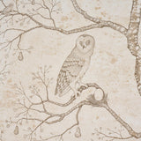 Schumacher Lattesa Nella Notte Ivory Wallpaper