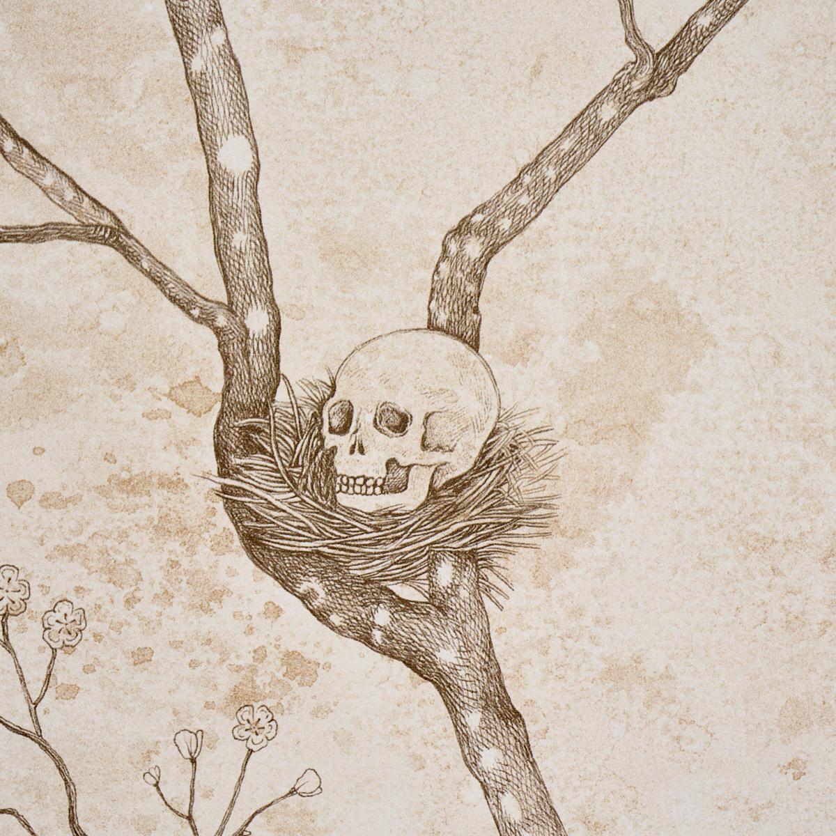 Schumacher Lattesa Nella Notte Ivory Wallpaper