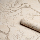 Schumacher Lattesa Nella Notte Ivory Wallpaper