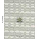 Schumacher Manta Performance Green & Mineral Fabric