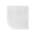 Peacock Alley CATALINA 12X12 WASH CLOTH LINEN