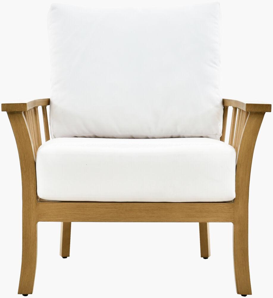 Surya Cape Town CAPE-001 32"H x 35"W x 32"D Accent Chair