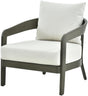 Surya Daniella DANE-001 28"H x 31"W x 33"D Accent and Lounge Chairs