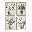 Napa  CHINOISERIE NOIR PRINTS, SET OF 4