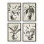 Napa  CHINOISERIE NOIR PRINTS, SET OF 4