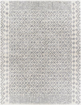 Surya Deluxe Shag DXS-2308 2' x 3' Rug