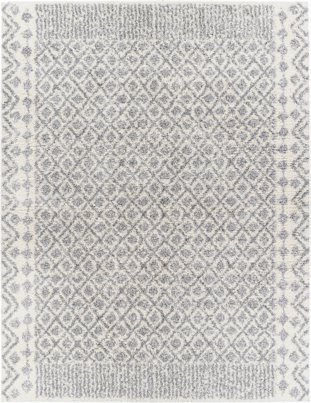 Surya Deluxe Shag DXS-2308 2' x 3' Rug