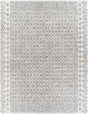 Surya Deluxe Shag DXS-2308 2' x 3' Rug
