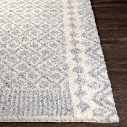 Surya Deluxe Shag DXS-2308 2' x 3' Rug