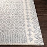 Surya Deluxe Shag DXS-2308 2' x 3' Rug