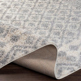 Surya Deluxe Shag DXS-2308 2' x 3' Rug