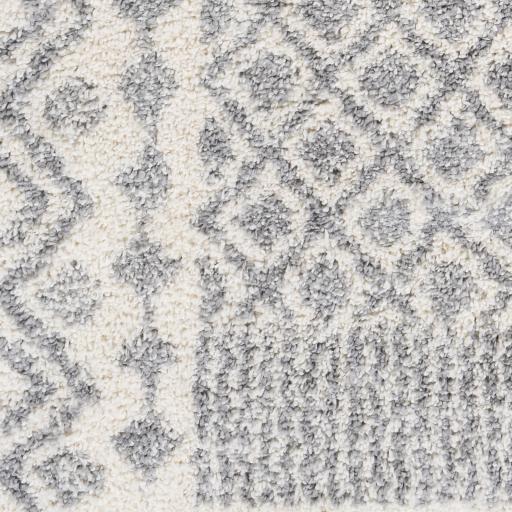 Surya Deluxe Shag DXS-2308 2' x 3' Rug
