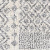Surya Deluxe Shag DXS-2308 2' x 3' Rug