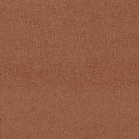 Sanderson Dorton Auburn Fabric