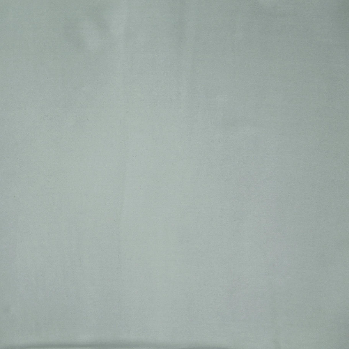 Ann Gish Frost King Charmeuse Duvet