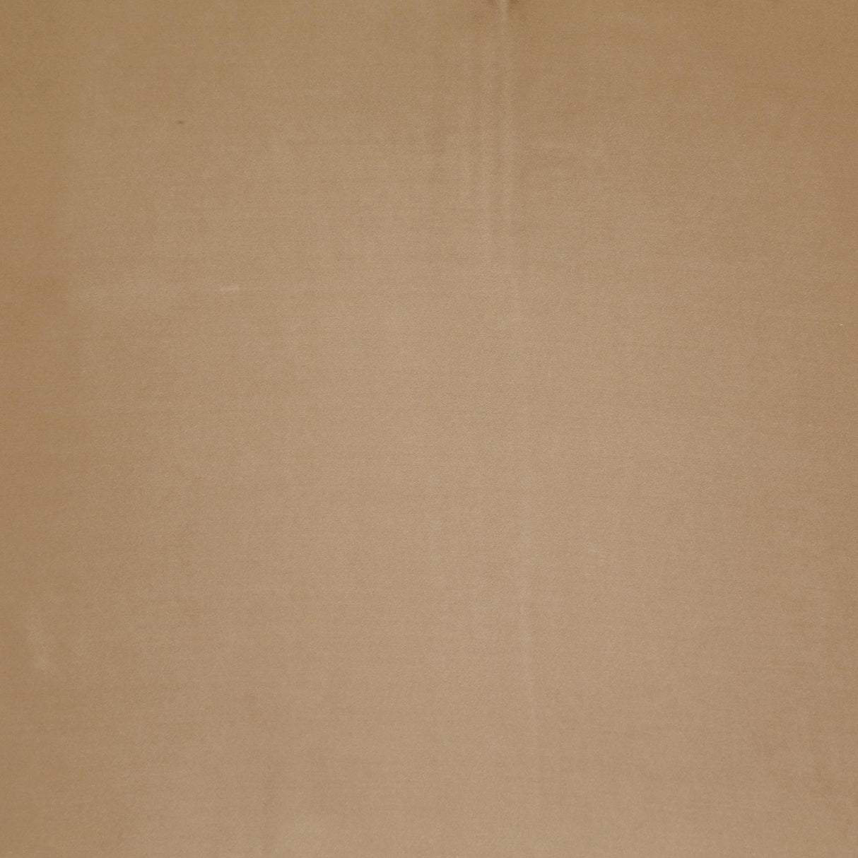 Ann Gish Sand Queen Charmeuse Duvet