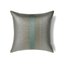 Ann Gish Aqua 24x24 Anguilla Pillow