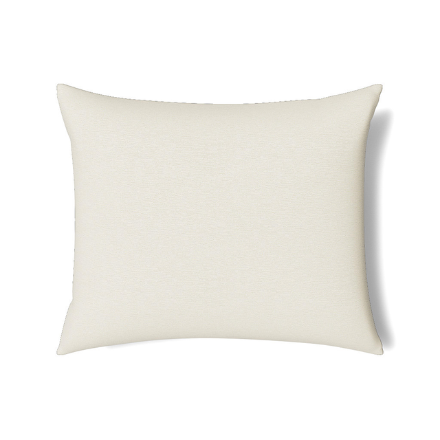 Ann Gish Pearl 36x30 Asperitas Pillow
