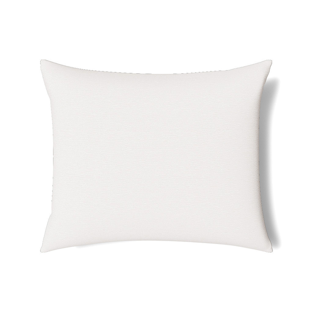 Ann Gish White 36x30 Asperitas Pillow