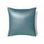 Ann Gish Lake 22x22 Duchess Pillow