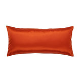 Ann Gish Spice 24x24 Duchess + Velvet Reversible Pillow