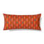 Ann Gish Multi 36x16 Pluma Pillow