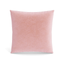 Ann Gish Blush 20x20 Fresco Velvet Pillow