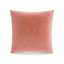 Ann Gish Rhubarb 20x20 Fresco Velvet Pillow