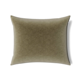 Ann Gish Khaki 36x30x2.5 Fresco Velvet Pillow