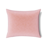 Ann Gish Blush 36x30x2.5 Fresco Velvet Pillow