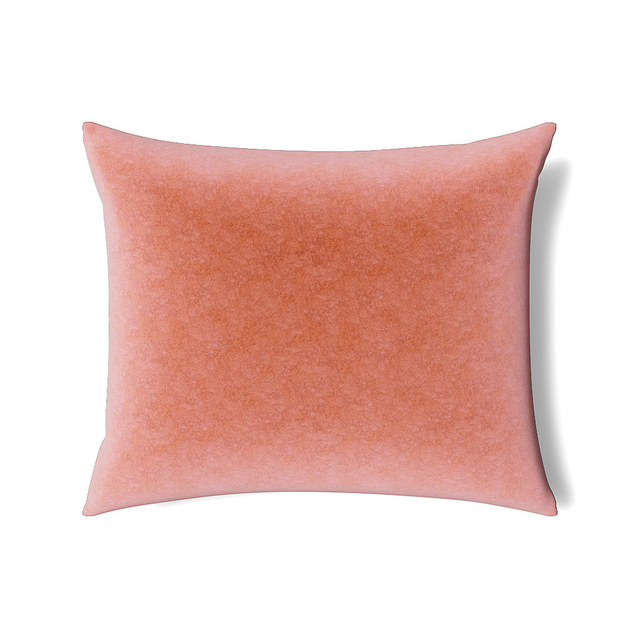 Ann Gish Rhubarb 36x30x2.5 Fresco Velvet Pillow
