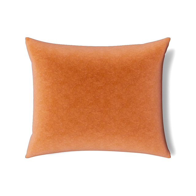 Ann Gish Terra Cotta 36x30x2.5 Fresco Velvet Pillow