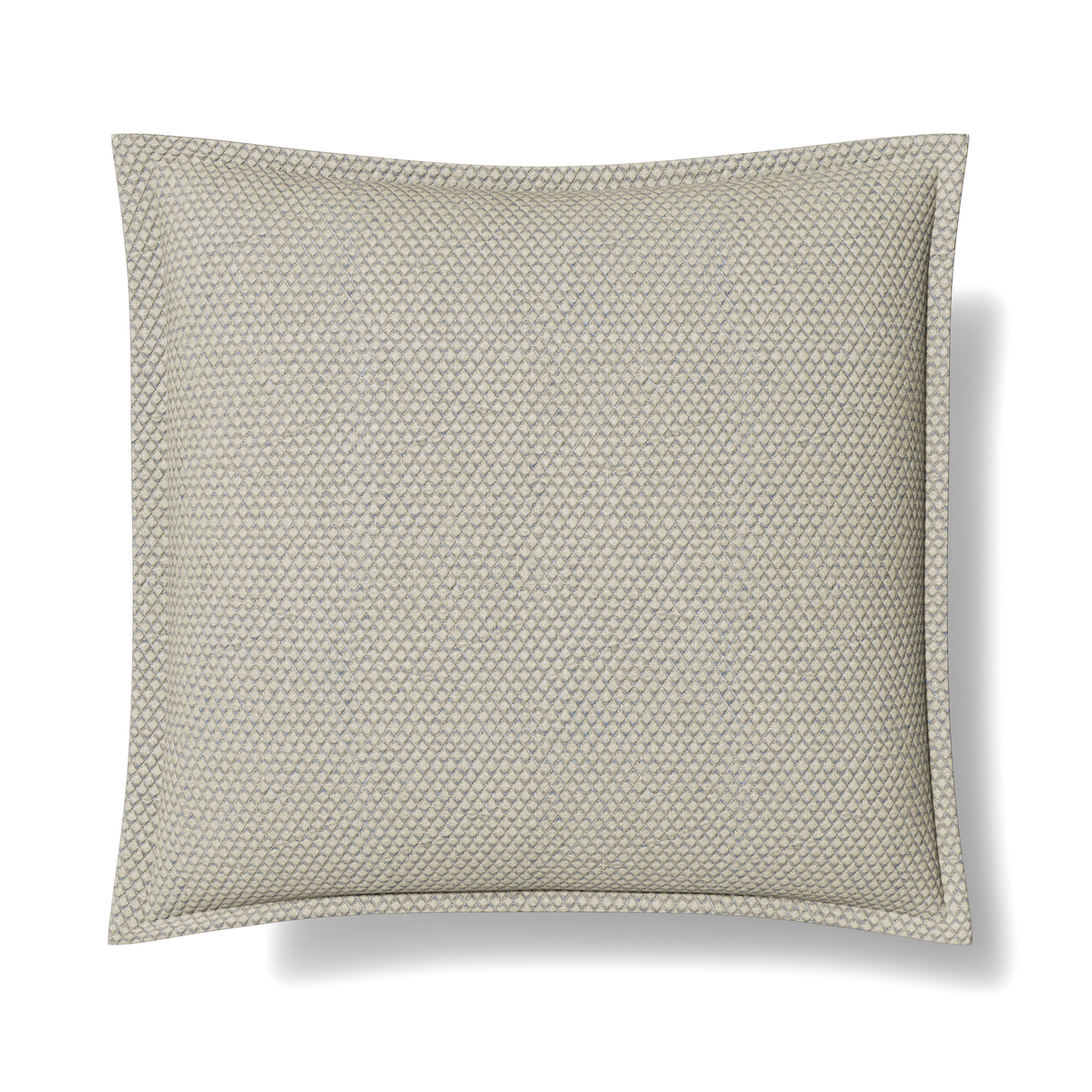 Ann Gish Silver 22x22 Hollywood Pillow