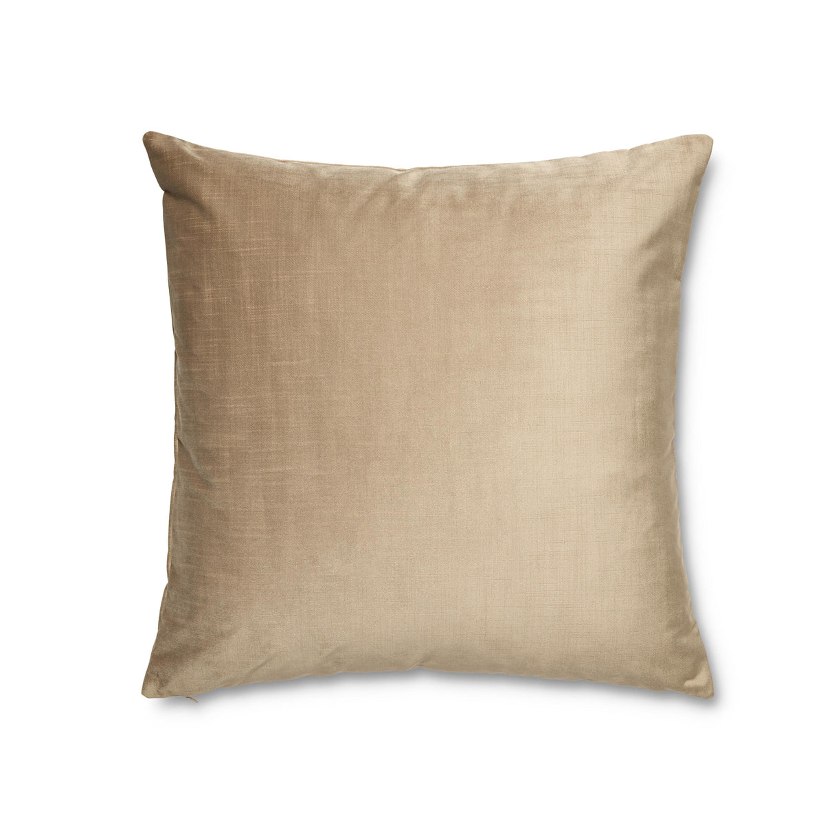 Ann Gish Taupe 22x22 Modern Velvet Pillow