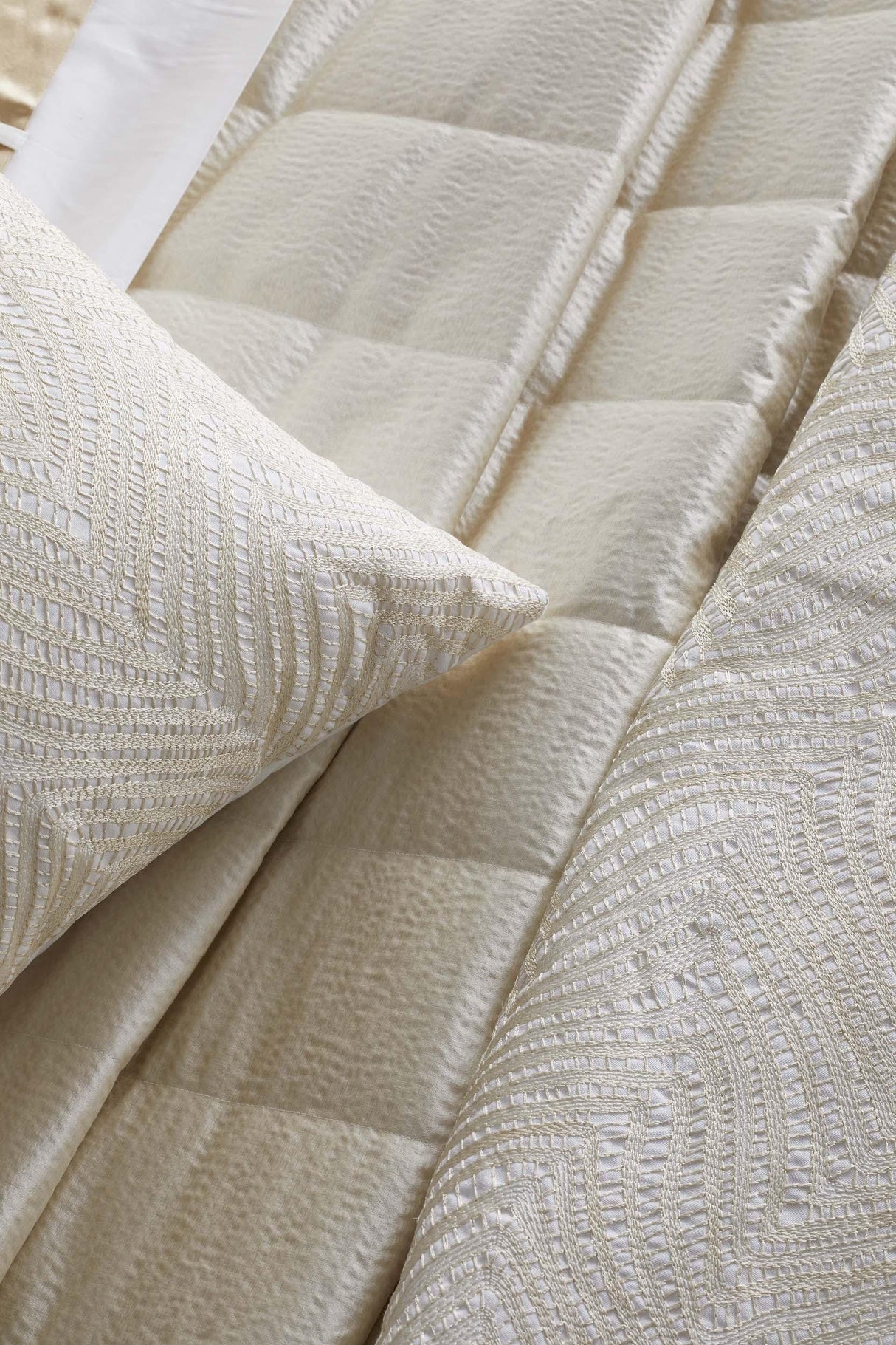 Ann Gish Champagne 24x24 Retortoli Pillow