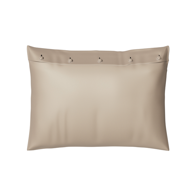 Ann Gish Silver Standard Charmeuse Sham With French Knots
