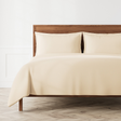 Ann Gish Pumice Queen Neo Duvet Set