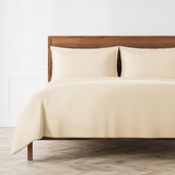 Ann Gish Pumice Queen Neo Duvet Set