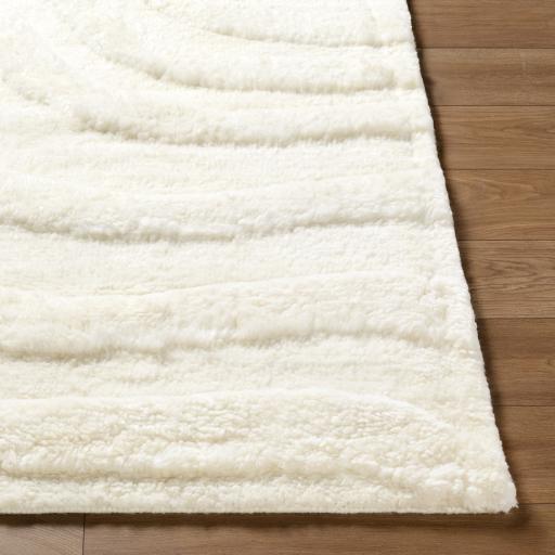 Surya Manpura MPR-2304 2' x 3' Rug