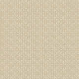 Lee Jofa HADIQA MARRON GLACE Fabric