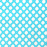 Lee Jofa COASTAL CANE SEA Upholstery Fabric