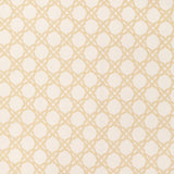 Lee Jofa COASTAL CANE SAND Upholstery Fabric