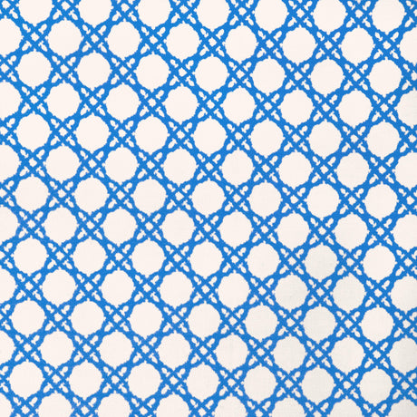 Lee Jofa COASTAL CANE LAPIS Upholstery Fabric