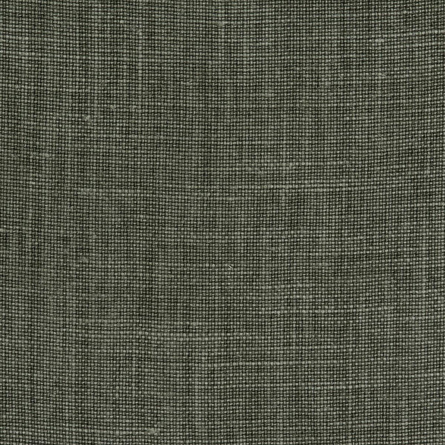 Kravet MENDOZA LINEN BOSQUE Fabric