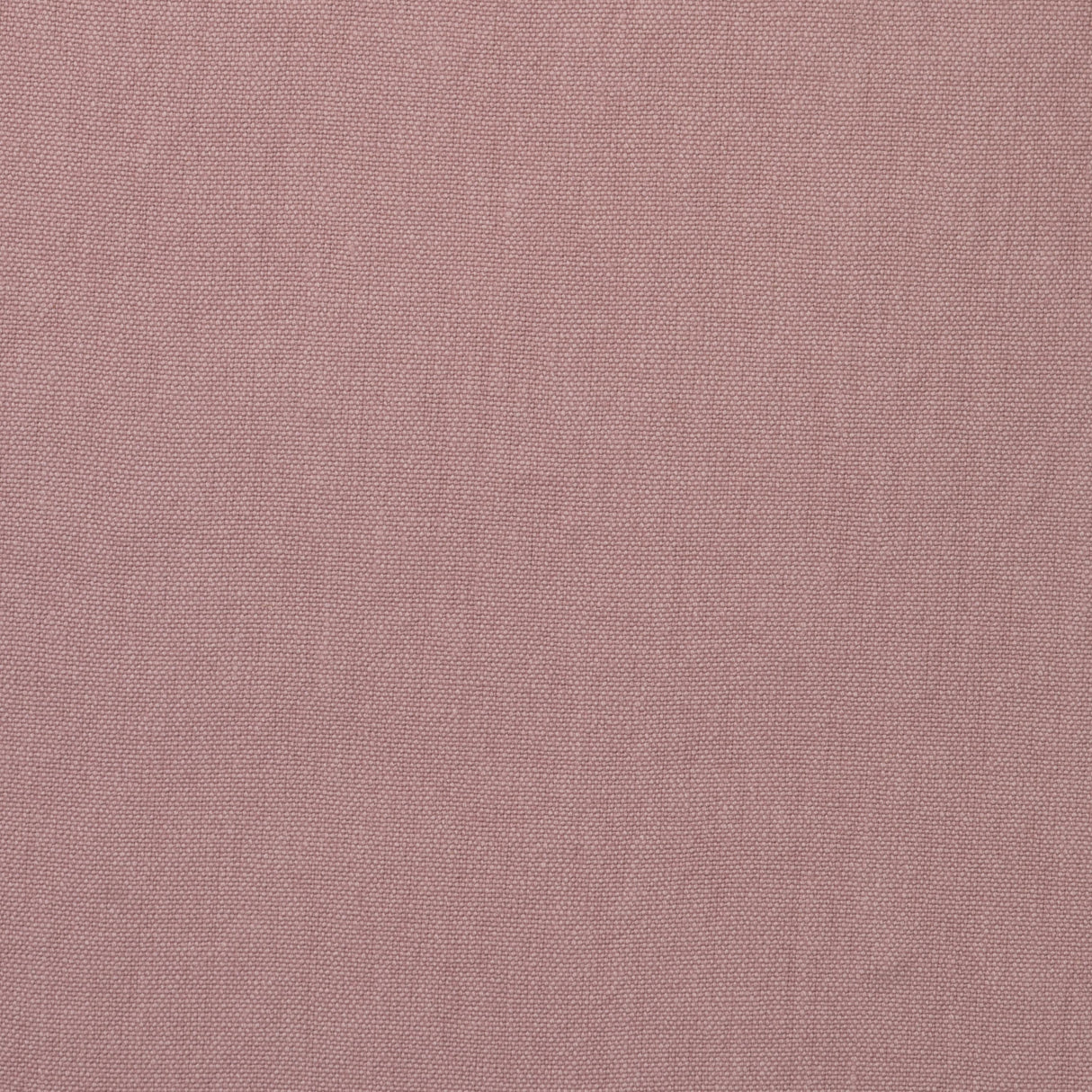 Andrew Martin ROCCO PETAL Upholstery Fabric