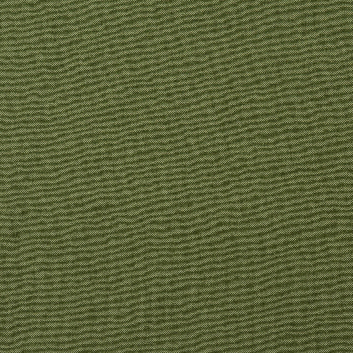 Andrew Martin ROCCO LEAF Upholstery Fabric